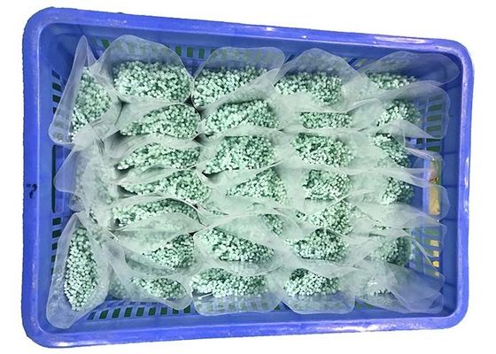 ATTEIGNEZ le léger vert les serres-câble en nylon de 120 degrés 2.5mm